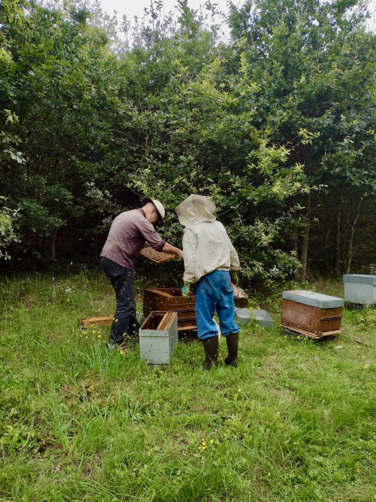 Junior et Nathalie contrôlant la population d'une ruche